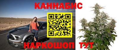 дмт Обь