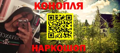дмт Обь