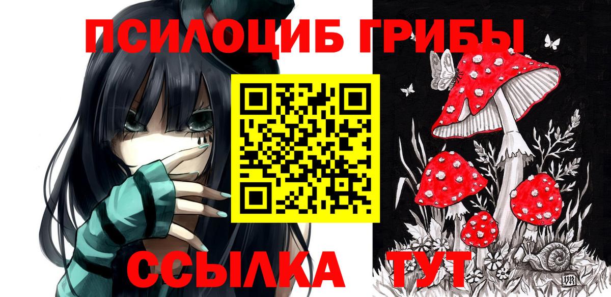 Галлюциногенные грибы мицелий Скопин