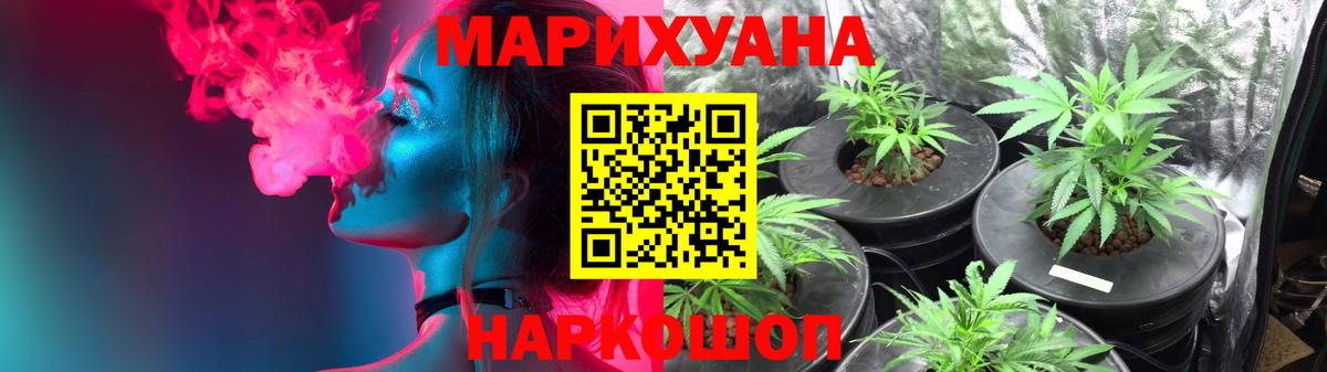 Бошки Шишки план Скопин